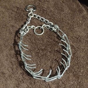 Silver Prong Dog Training Collar